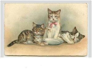 Chats - 3304 - Imagen 1 de 2
