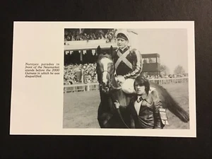 NUREYEV Photo Horse Racing Champion Sire - Picture 1 of 1
