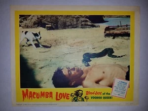 VINTAGE LOBBY CARD 1960 Macumba Love Voodoo Queen - Picture 1 of 1