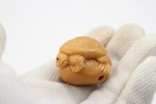Netsuke Turtle on a Rock - Japanese Carved Tagua Nut - Signed
