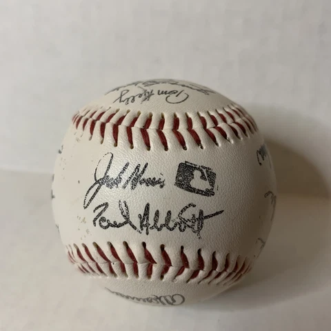 Minnesota Twins 1991 MLB World Series Champions Facsimile Team Autographed Ball Cover