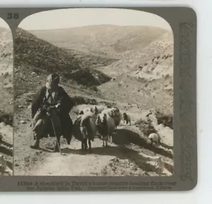 Shepherd in David's Home Country Judean Hills Palestina Underwood Stereoview - Imagen 1 de 2