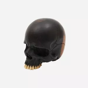 Jawless Skull - Hand Carved Black Ebony Wood Skull Large 5.75" Replica Skeleton - Picture 1 of 9