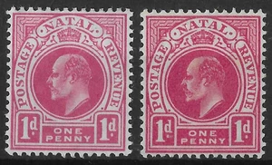 Natal 1904 EDVII 1d SG147/b Mint - Picture 1 of 2