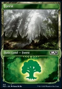 MTG - (Showcase) FOREST - M21/Core Set 2021 (C) - Bild 1 von 1