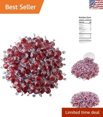 Discos de caramelo de canela ardiente Zero Sugar - Bolsa de 1 lb para indulgencia consciente de la salud Foto 1 de 4