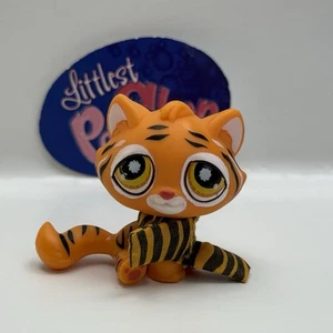 Tiger #905 mit Zubehör - Original Littlest Pet Shop - Hasbro LPS - Bild 1 von 5