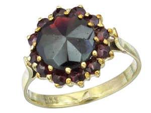 Ring Granat 333er Gelbgold - Imagen 1 de 3