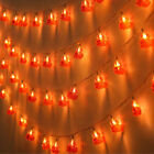 3 Meter 20 Lights Red Chinese Knot Lantern Spring Festival LED String Lights Chr