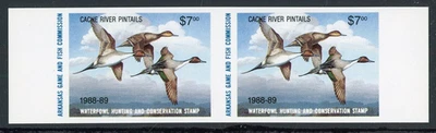ARKANSAS 1988-89 WATERFOWL HUNTING & CONSERVATION STAMP IMPERF MINT PAIR ! C02 - Image 1 of 2