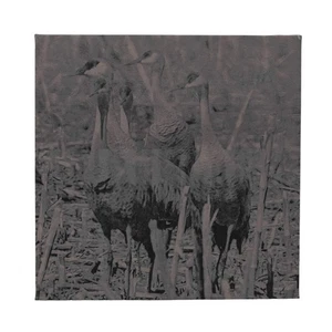 Grúa de cuero lona | 10" x 10" | RCK Creations y más - Imagen 1 de 3