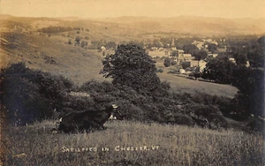 J3B84: VISTA DE PÁJARO DEL PECHO, DE COLECCIÓN: RPPC 1910 MATASELLOS - Imagen 1 de 2