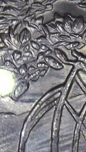 2020 P Salt River Bay Unc Error (Feeder Finger Error) - Picture 1 of 3