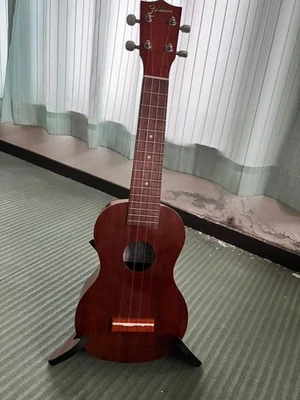 famoso FS-S4GFuORGv Foto 1 de 4