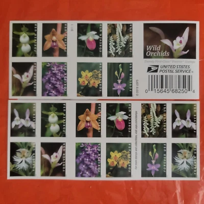 Wild Orchids Book of 20 First Class Postage Stamps Scott 5444 - Image 1 of 4