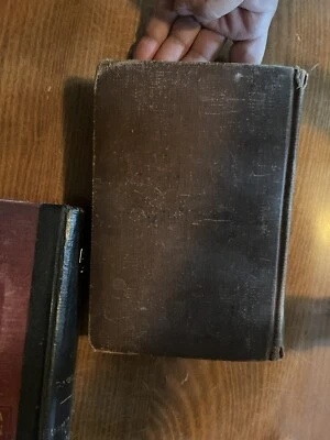 The Pest Albert Payton Terhune 1923 Hardcover - Image 1 of 4