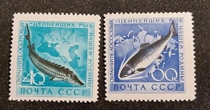 Rusia (Unión Soviética) 1959 Mi. 2244-2245** Peces MNH sin fijasellos - Imagen 1 de 1