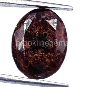 Natürlicher brauner Granat 12,80 ct Ovalschliff EGL zertifiziert loser Edelstein 5 ARE - Bild 1 von 7