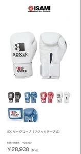Isami Boxer Boxhandschuhe weiß 8Oz - Bild 1 von 5