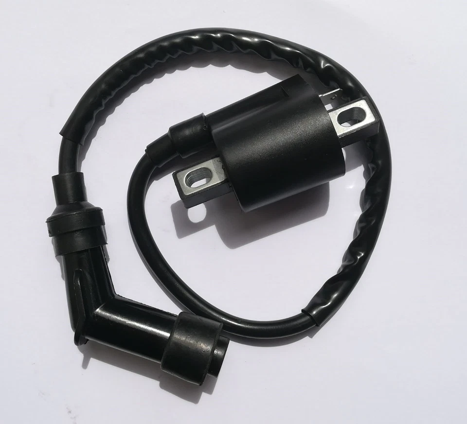 铃木 Quadracer LT250R 的点火线圈 (1986 - 1992) — 第 1/1 张图片