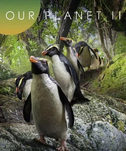 Our Planet 2 (2023) Documentary Brand New & Sealed - Foto 1 di 3