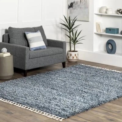  Brooke Shag Tasseled Area Rug - 2x3 Accent Shag Rug Casual/Ivory 2' x 3' Blue - Image 1 of 4