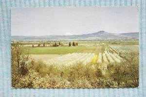 Rogue River Valley - Southwestern Oregon - Picture 1 of 1