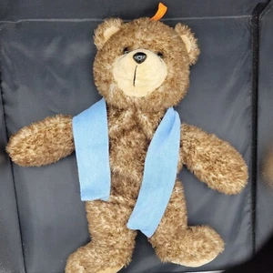 Original Fashy Plush Bear Hot Water Bottle Cover Only Brown USED 18" Germany - Picture 1 of 4