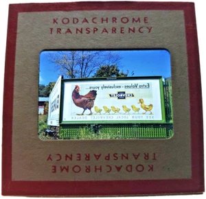 Kodachrome Red Border Slide | *1949* CHEVROLET CHICKS DUCK Billboard Sign Ad - Picture 1 of 3