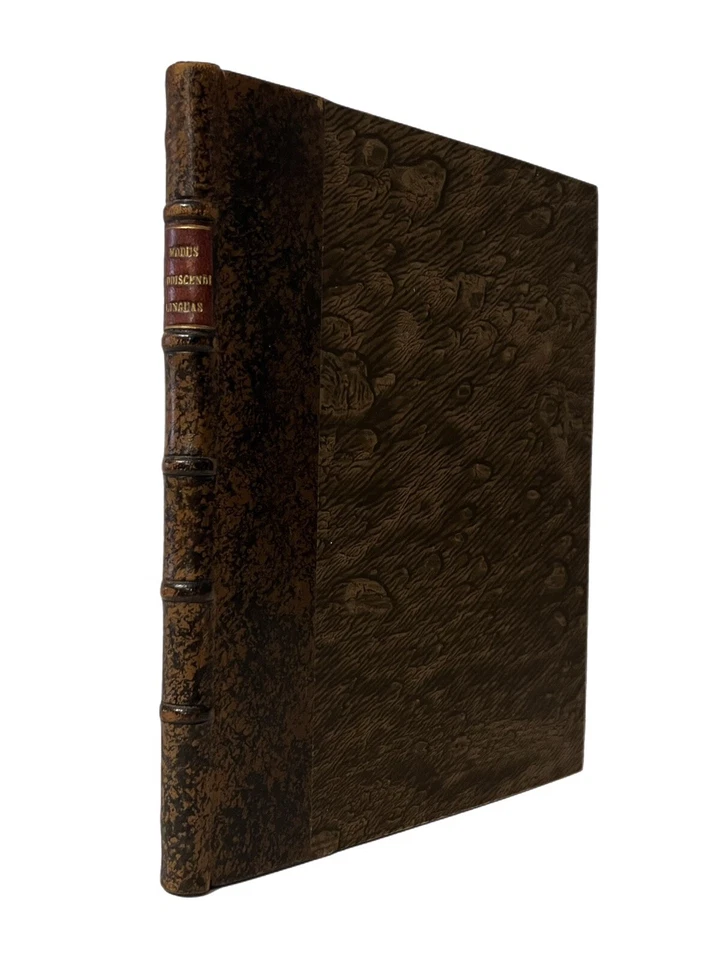 Weitenauer's Method for Learning Languages 1756 French, Italian, Spanish, Greek - Image 1 of 4