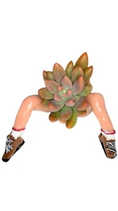 Ceramic Mini Pot of Hiker Desk Planter with Plant Made in The USA. - Picture 1 of 4