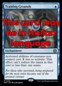 MTG TRAINING GROUNDS 9 EXC - ZONA D'ADDESTRAMENTO - MAT - MAGIC - Imagen 1 de 1