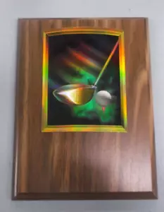 Plakette Trophäe Auszeichnung vollfarbiger Ball auf Tee Fahrer Relief 6x8 Nussbaum Finish - Bild 1 von 1