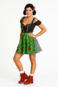 Dirndl Funny Kleid Bluse Schürze Oktoberfest Trachtenkleid Gr 36+38 Karneval - Bild 1 von 2