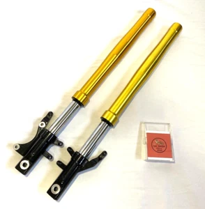 Honda Grom 125 JC61 MSX125 Genuine same size front fork left and right set NEW - Picture 1 of 8