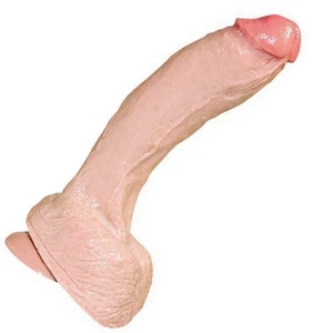 Realistixxx Real Stallion Penis Dildo 25,5cm Dong - Bild 1 von 2
