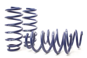 2019-2021 TESLA MODEL 3 STANDARD RANGE RWD H&R SPORT DROP LOWERING SPRINGS 1.2" - Bild 1 von 1
