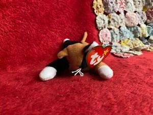 Vintage Ty Teenie Beanies Chip the Cat mit Etikett - Bild 1 von 2