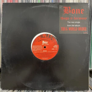 BONE THUGS-N-HARMONY - HOME (12")  2003!!  RARE!!  KRAYZIE!!  THUG WORLD ORDER!! - Picture 1 of 1