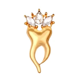Brosche, Anstecknadel, Pin Zahn Krone Strass Geschenk Zahnarzt - Bild 1 von 1