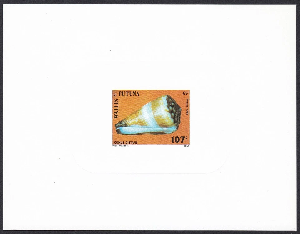 Wallis & Futuna Sc338 Seashell, Sea Snail, Conus distans, Deluxe Proof - Image 1 of 1