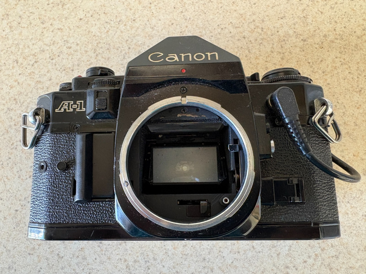 値下げ　Canon A-1 Canon A-1 Film Cameras for sale | eBay