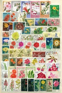 Lot Blumenmotive o ( 45211 ) - Bild 1 von 2