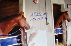 Secretariat Photograph Signed Ron Turcotte 1973 8x12 Meadow Stable Riva ! - Picture 1 of 3