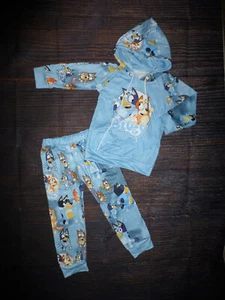 NEW Boutique Bluey Hooded Boys Girls Sweatsuit Outfit Set  - Picture 1 of 3