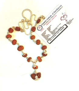 Rudraksha Siddha Mala Java Beads 1 till 14 Mukhi Rudraksha Lab Certified - Picture 1 of 1