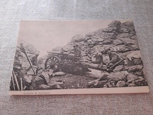 Cartolina militare Ia Guerra Italiana serie II n. 3 I World War non viaggiata - Imagen 1 de 2