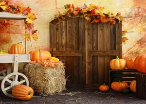 8X6FT Fall Thanksgiving Backdrop Thanksgiving Photo Backdrop Autumn Harvest P... - Picture 1 of 7