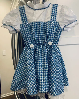 Rubies Wizard of Oz Child Dorothy Sparkly Costume Dress Size Small 4-6 Fast Ship - Image 1 of 4