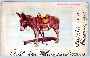 1903 SALUDOS DE PALOMA MICHIGAN BURRO SILLA TOMA UNO SOBRE MÍ POSTAL - Imagen 1 de 2